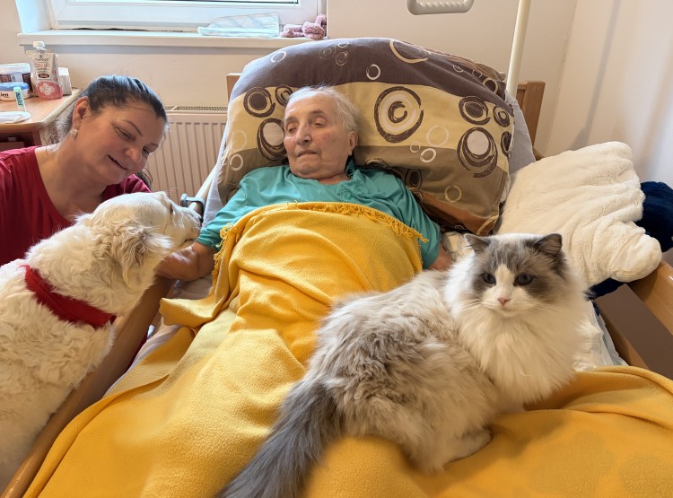 Individuální zooterapie