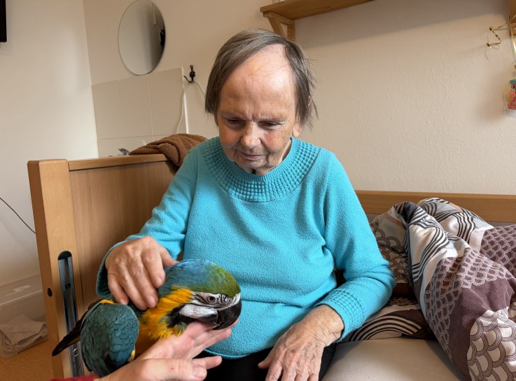 Individuální zooterapie