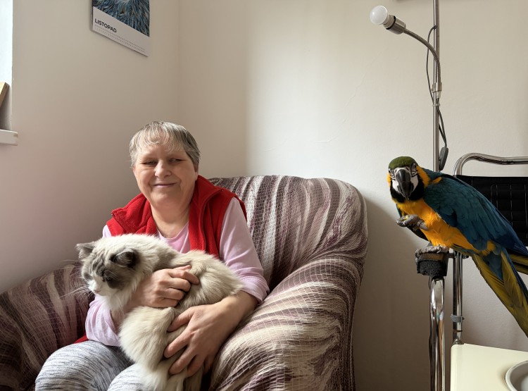 Individuální zooterapie