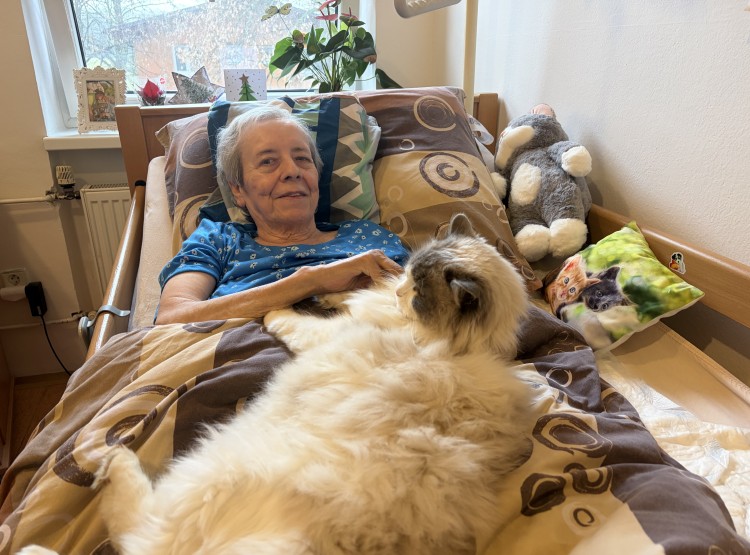 Individuální zooterapie