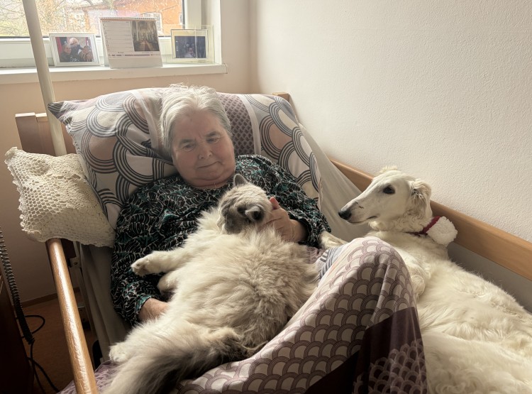 Individuální zooterapie