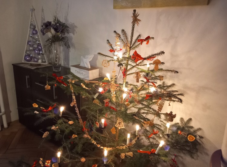 Předvánoční čas v Denním stacionáři Vysoké Mýto