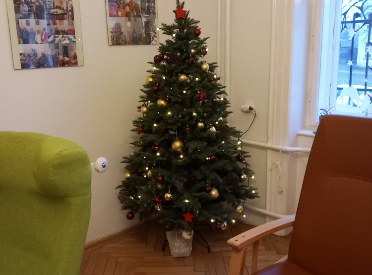 Předvánoční čas v Denním stacionáři Vysoké Mýto