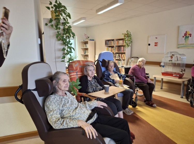 Předvánoční mezigenerační setkání