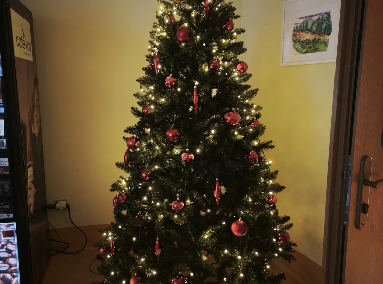 Ježíškova vnoučata splnila přání všech zapojených klientů