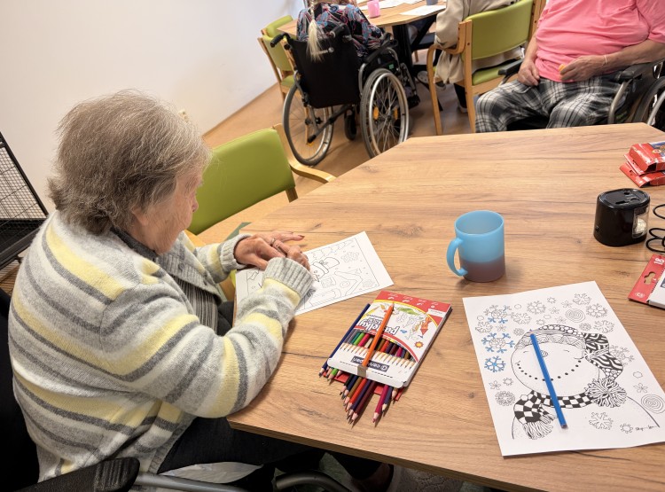 Sněhová inspirace za okny