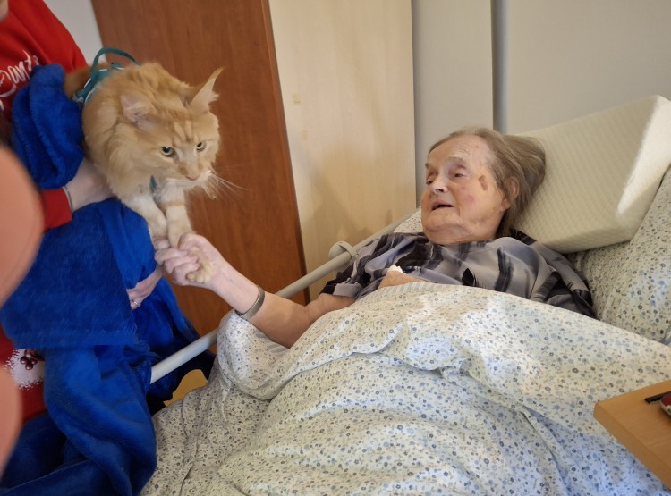 Felinoterapie s kocourkem Sigmou