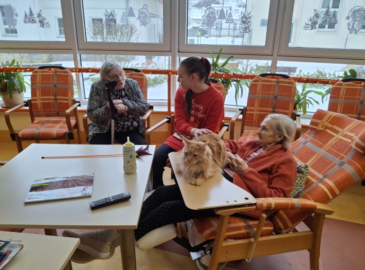 Felinoterapie s kocourkem Sigmou