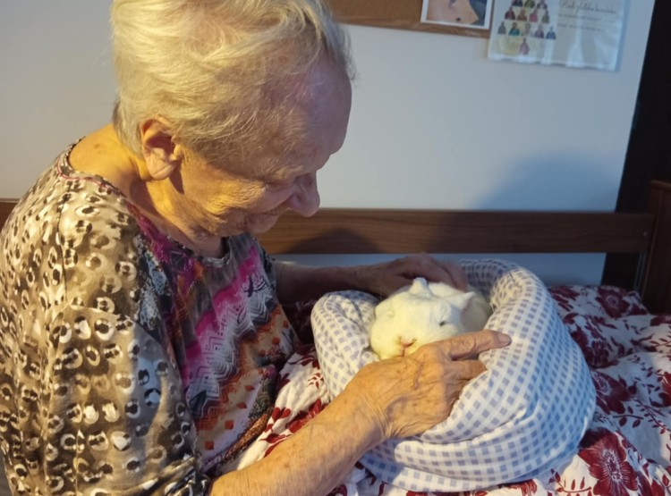 Zooterapie potěšila klienty Centra sociálních služeb Emausy