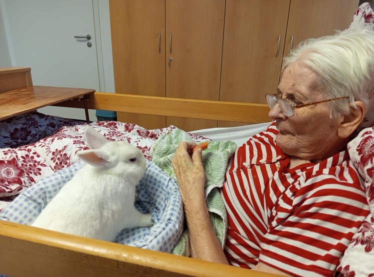 Zooterapie potěšila klienty Centra sociálních služeb Emausy