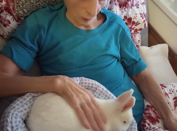 Zooterapie potěšila klienty Centra sociálních služeb Emausy