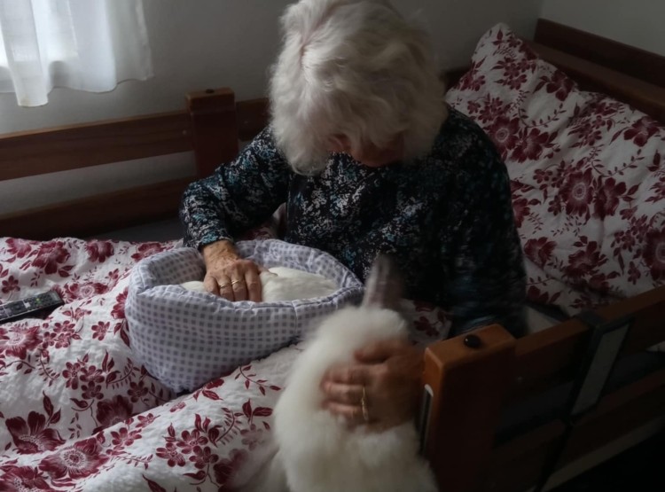 Zooterapie potěšila klienty Centra sociálních služeb Emausy