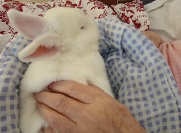 Zooterapie potěšila klienty Centra sociálních služeb Emausy