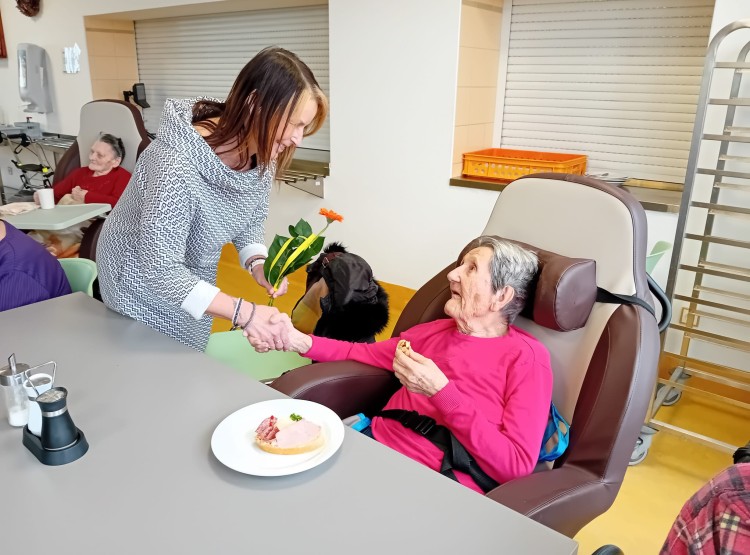 Masopustní a narozeninové veselí