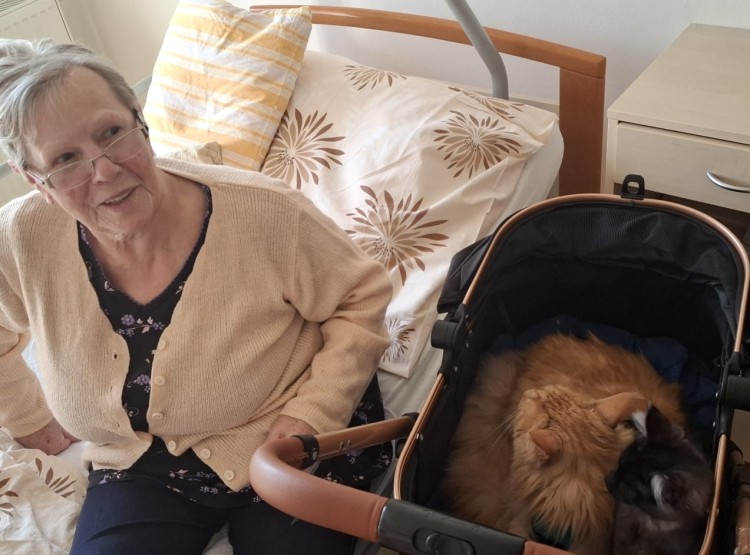 Návštěva kočičích kamarádů v Domově pro seniory Vysoké Mýto