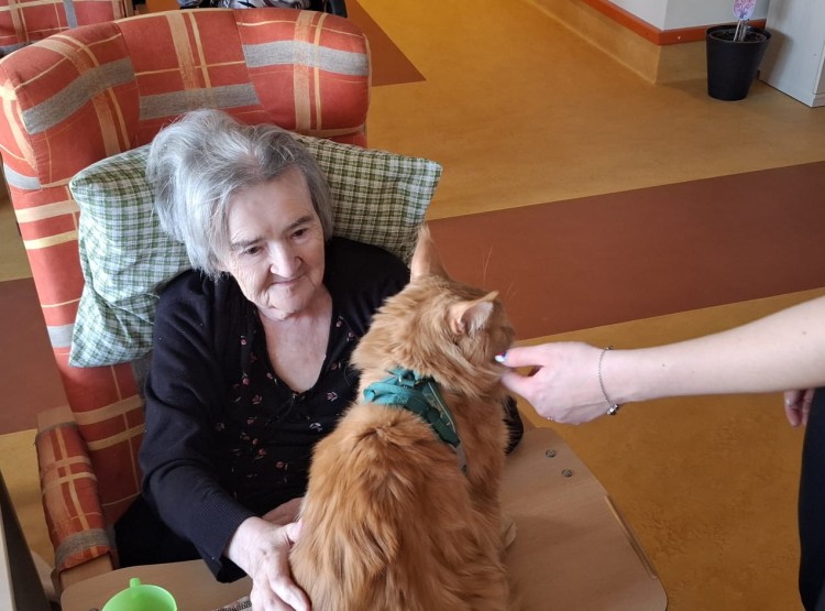 Návštěva kočičích kamarádů v Domově pro seniory Vysoké Mýto