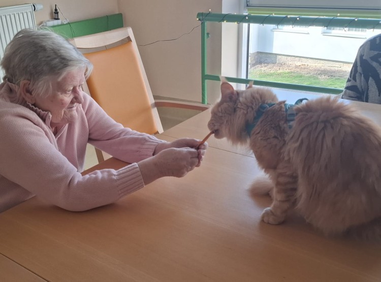 Návštěva kočičích kamarádů v Domově pro seniory Vysoké Mýto