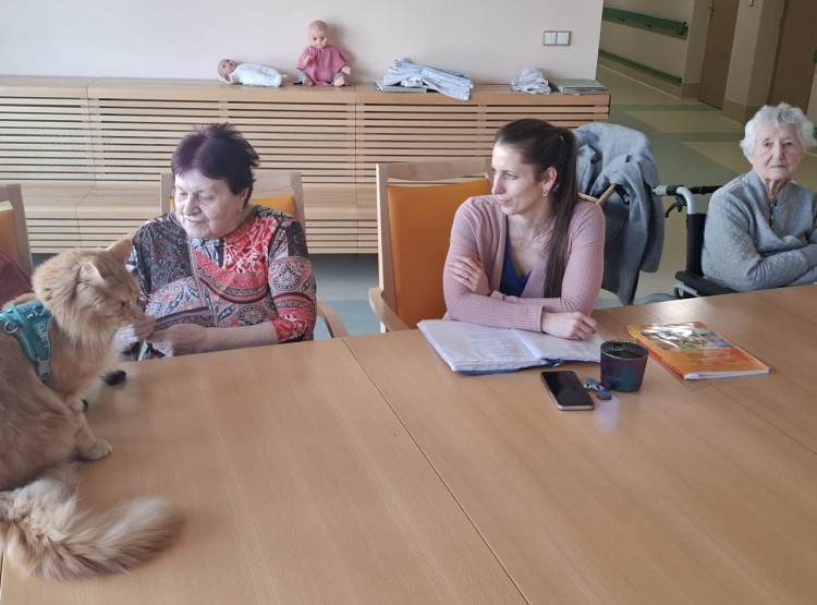 Návštěva kočičích kamarádů v Domově pro seniory Vysoké Mýto