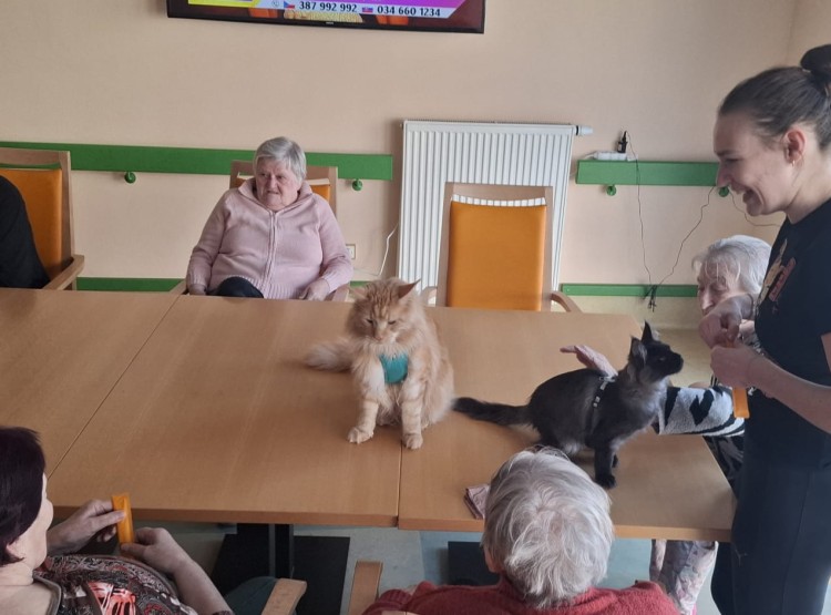 Návštěva kočičích kamarádů v Domově pro seniory Vysoké Mýto