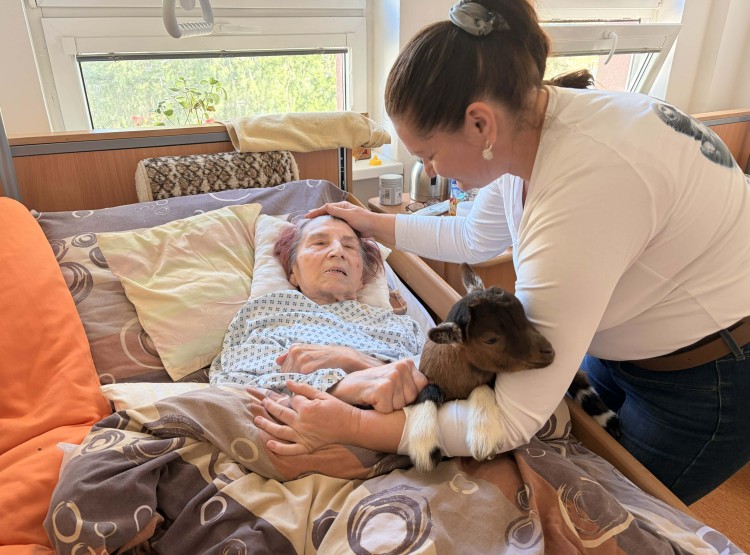 Individuální zooterapie