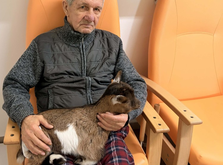 Individuální zooterapie