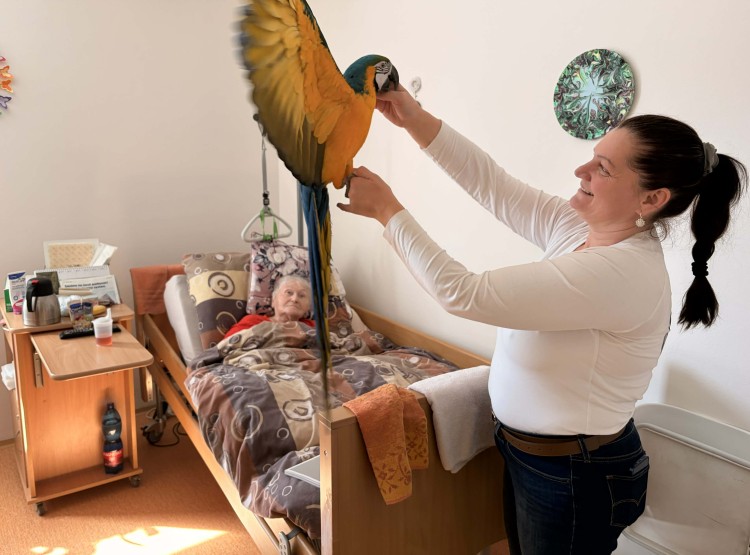 Individuální zooterapie