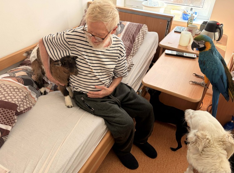 Individuální zooterapie