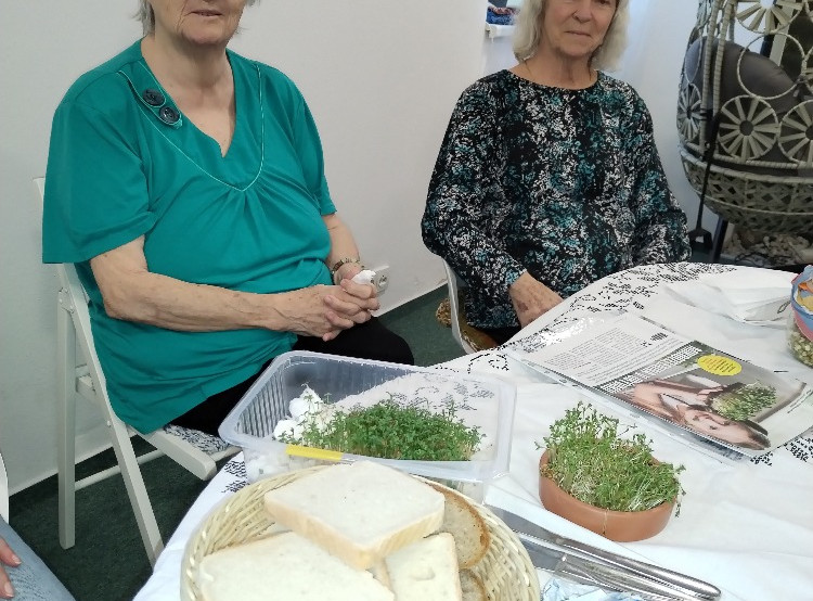 Když promluví bylinky - smyslová aktivizace