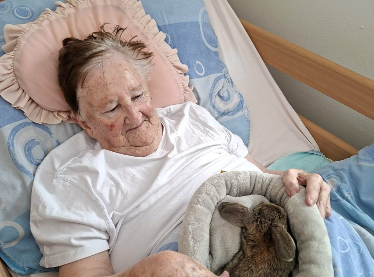 Zooterapie s povídáním o Africe