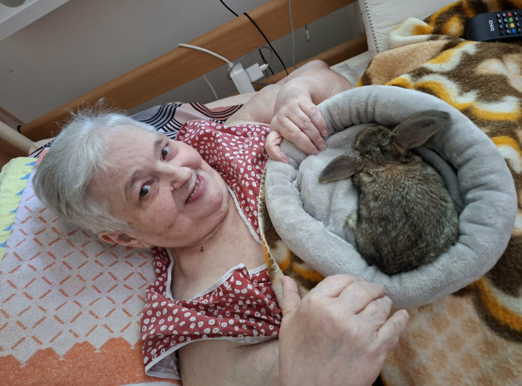 Zooterapie s povídáním o Africe