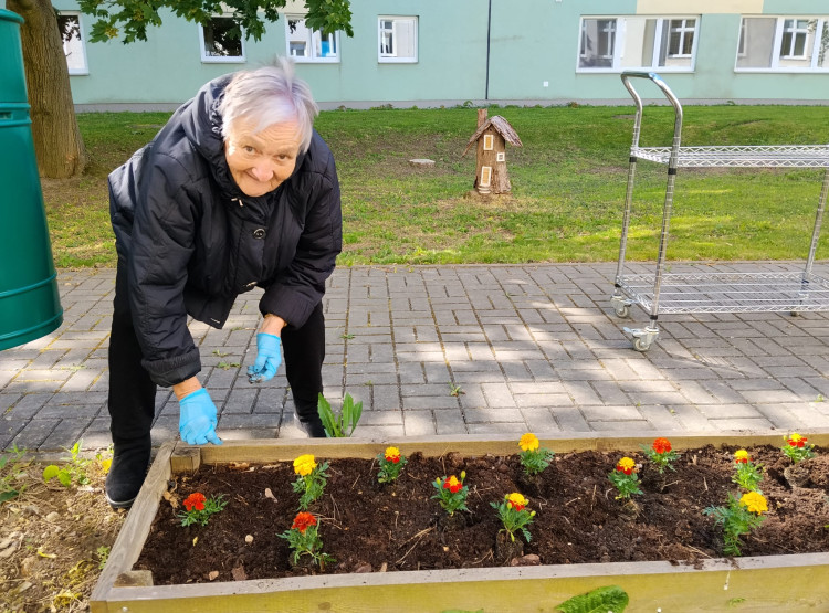Jarní práce na zahrádce našeho domova