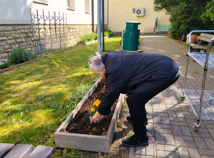 Jarní práce na zahrádce našeho domova