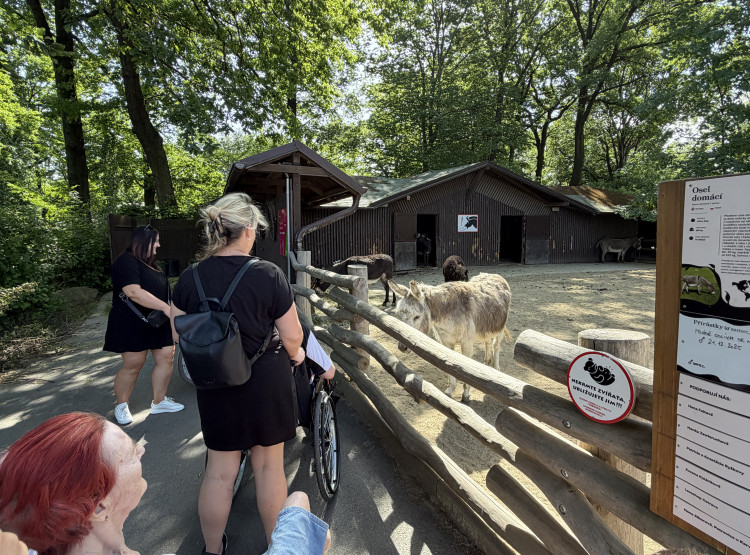Výlet do Zoologického zahrady a botanického parku Ostrava