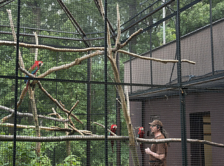 Výlet do Zoologického zahrady a botanického parku Ostrava