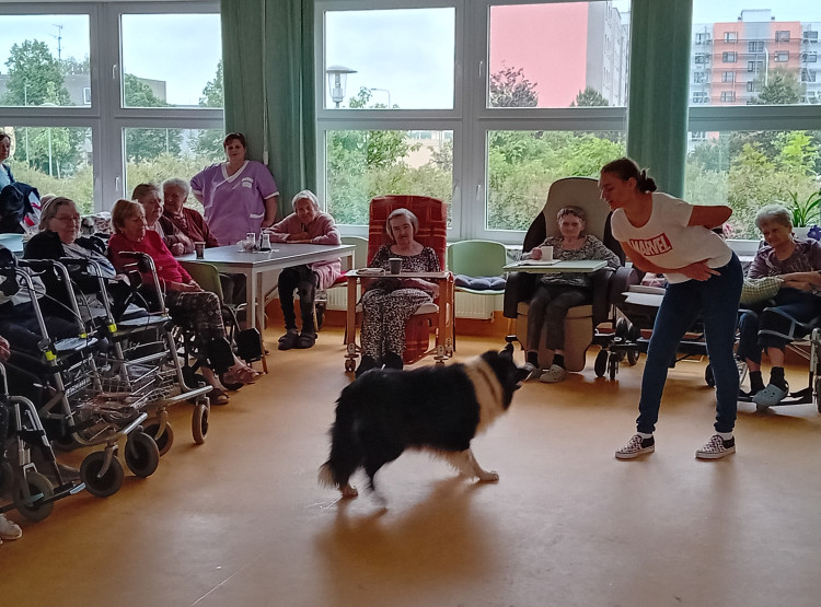 Dog dancing