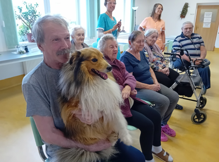 Dog dancing