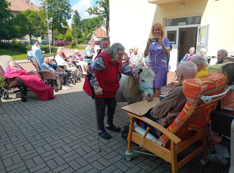 Červen plný zvířecích návštěv
