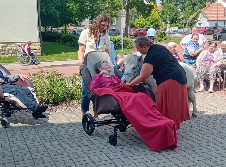 Červen plný zvířecích návštěv