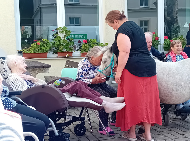 Červen plný zvířecích návštěv