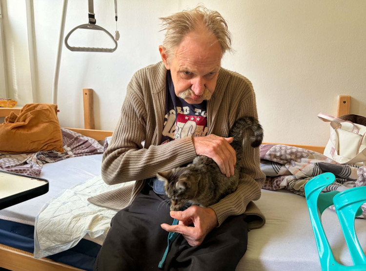 Kočičí společnost udělala radost našim klientům