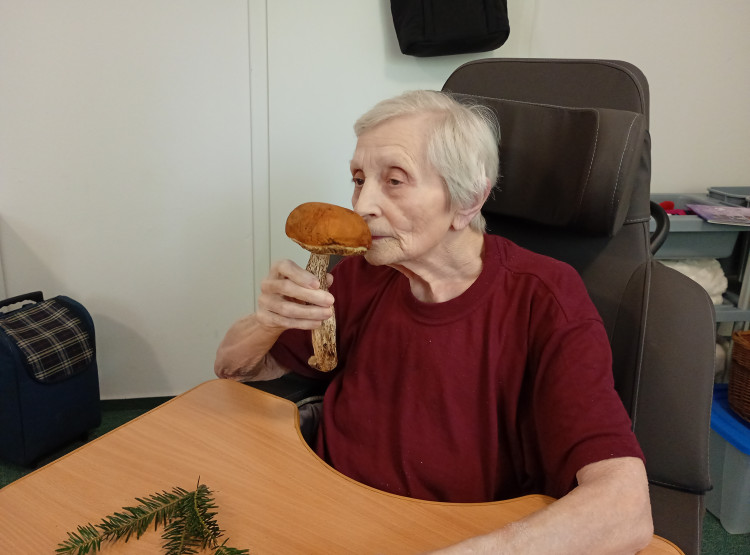 Vůně lesa a hub potěšila všechny smysly