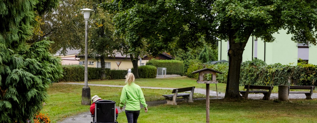 Ledax_Borovany_web_038