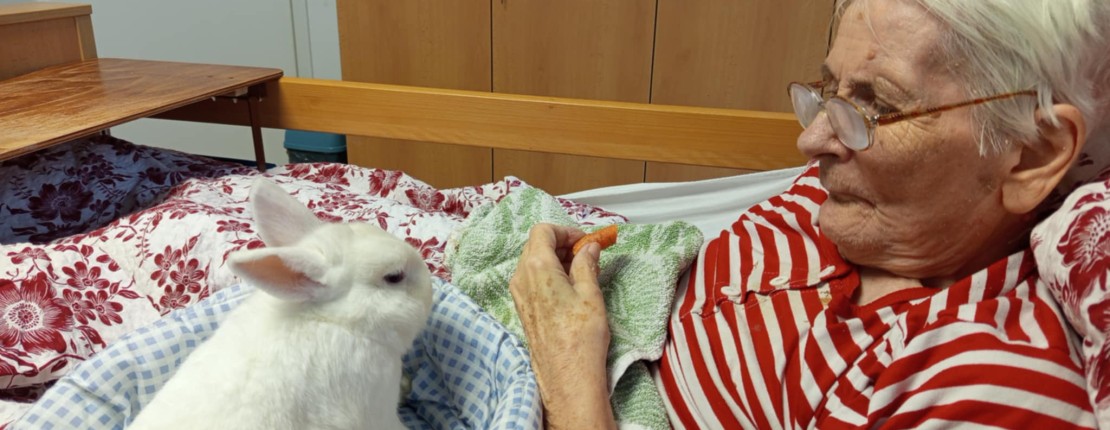 att.BtU2A6gENUswC5GblldKggE2Akn8IZlBHi-X4_c6ajI