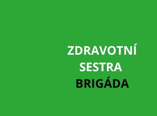 Vysoké Mýto: Praktická/všeobecná sestra do domova pro seniory - BRIGÁDA