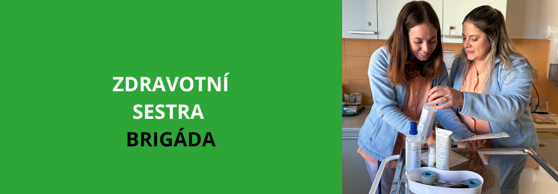 Vysoké Mýto: Praktická/všeobecná sestra do domova pro seniory - BRIGÁDA