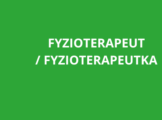 Vysoké Mýto: Fyzioterapeut / fyzioterapeutka