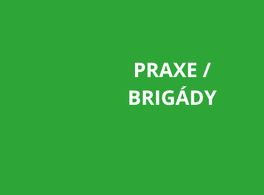 Praxe a brigády pro studenty