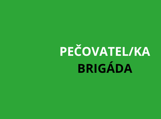Kaplice: Pečovatel/ka v terénních sociálních službách - BRIGÁDA