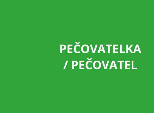 Zliv: Pečovatel/ka v terénních sociálních službách