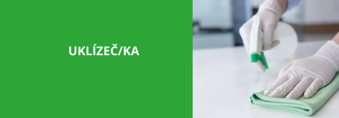 Ostrava: Uklízeč/ka do domova – BRIGÁDA